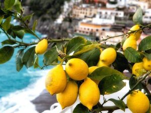 Amalfi